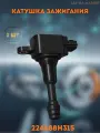 Катушка зажигания 24488H315 1_шт Nissan Altima (L31), Nissan Maxima (A33) , Nissan Primera P12E , Nissan Teana J31, Nissan X-Trail