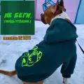 Кофта для собак с вышивкой Не беги от DOGTON средних и крупных пород. Худи с начесом и капюшоном для прогулок и выставки. Размер XL