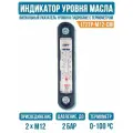 Индикатор уровня и температуры, 127мм, LT2TP-M12-CM, OMT Италия