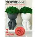 Стабилизированный мох в кашпо человечеки, 2 шт. для декора дома, 11 см