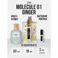 Духи имбирные по мотивам Molecule 01 Ginger, молекула имбирь женские мужские стойкие 50 мл