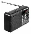 Радиоприемник PERFEO PF-A4870 - черный