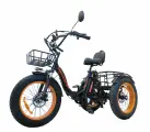 Электровелосипед трехколёсный Kugoo Trike 2025 240W, 48V/15.6AH
