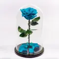 Бирюзовая роза в колбе Премиум в подарочной коробке с вау эффектом/26 см /Живет 5 лет!