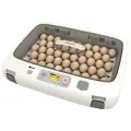 Инкубатор Rcom 50 DO PRO с овоскопом автоматический для яиц