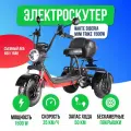 Электроскутер трехколесный (трицикл) WHITE SIBERIA TRIKE MINI 1500W 48V/15Ah черный