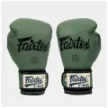 Боксерские перчатки Fairtex BGV11 F-DaY 14 унций