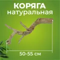 Натуральная коряга для террариума, декорация и украшение декор для рептилий, ящериц, длина 50-55 см, Универсальное украшение для террариумов экзотических животных.