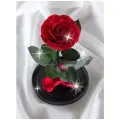 Живая Роза в колбе Therosedome Premium хит 11 см стабилизированная, цветок в колбе, вечная роза, подарок, декор для интерьера, цвет: красная