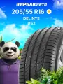 Летние шины DELINTE DS2 205/55 R16 94W XL