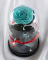 Живая Роза в Колбе The Rose Dome Premium Хит, стабилизированная, тиффани