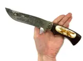 Нож Галеон, сталь 95Х18, венге, вставка кость