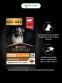Pro Plan Duo Delice Medium & Large для взрослых собак средних и крупных пород Говядина, 2,5 кг. упаковка 2 шт