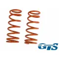Пружины Технорессор для а/м ВАЗ 2101-07 задние, занижение -30 драйв