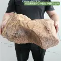Имитационное украшение Ландшафтный камень, цвет Шашенг YC-9 Stone
