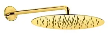 Верхний душ Webert AC0841010 Золото латунь на стену