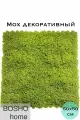 Мох декоративный модульный размером 50х50см из серии Premium Collection