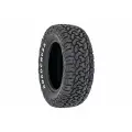 Автомобильные шины Roadcruza RA 1100 265/65 R17 112S