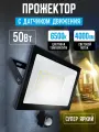Уличный светодиодный прожектор LEEK LE LED FL IR, 50Вт, IP65, с датчиком движения