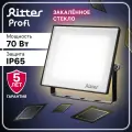 Прожектор светодиодный Ritter Profi, 70Вт, 180-240В, IP65, 7000Лм, 2700К, чёрный, 53429 1