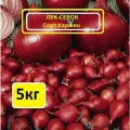 Лук севок Кармен 5 кг, для дачи, сада и огорода, Урожай 2025