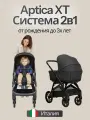 Коляска 2 в 1 Inglesina Aptica XT Magnet Grey