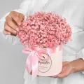 Композиция Мегацвет24 Гипсофилы розовые, стабилизированная, 9шт, в шляпной коробке