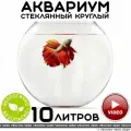 Аквариум vecchio vaso шар круглый стеклянный для рыбок 10 литров