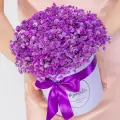 Букет Мегацвет24 5 Сиреневые Гипсофилы, 5шт, стабилизированный, в шляпной коробке