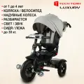 Детский трехколесный велосипед Tech Team с ручкой Luxury серый 1/1