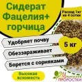 Сидерат Фацелия+Горчица, Ильинские проростки 5кг