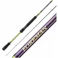 Спиннинг Champion rods Foreman FS-762L