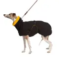 Попона для Уиппетов Монморанси, цвет: черный/желтый, размер М1. Попона для собак породы уиппет. Попона для бесхвостых собак и с низкоопущенным хвостом.