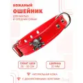 Кожаный ошейник с декоративными черепами (обхват шеи 26-33 см) для малых и средних собак / Красный