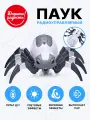 Паук радиоуправляемый, эффект дыма, световые и звуковые эффекты, цвет белый (10702070/220623/3255205, Китай ) UT0072