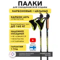 Палки для скандинавской ходьбы карбоновые Finpole BR цельные 110 см