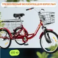 Трехколесный велосипед для взрослых РВЗ Чемпион, 20, красный