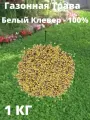 Семена Клевер 1 кг.