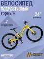Велосипед подростковый горный скоростной 24' HORST Argento желтый