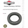 Сальник коленвала Briggs&Stratton, 399781S