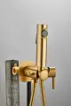 Смеситель с гигиеническим душем цвет золотой, латунный Haiba HB5518-5