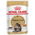 Влажный корм для кошек Royal Canin Maine Coon Adult, для взрослых кошек породы мейн-кун, 34 шт. х 85 г (кусочки в соусе)