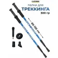 Палки для скандинавской ходьбы телескопические 65-135 см Classmark для активного отдыха всесезонные, спортивный инвентарь для природы и похода, насадки для разных погодных условий, синий