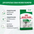 Сухой корм для собак Royal Canin Mini Adult 8+ для мелких пород, 4 кг