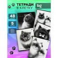 Тетрадь 48 листов, формат А5, клетка BG Пушистые коты 5 штук