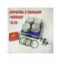 Комплект поршня с пальцем и кольцами +0.25 для Daewoo Nexia, Chevrolet Lanos DOHC