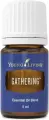 Смесь масел Gathering Янг Ливинг. Gathering Young Living - 5 мл