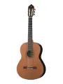 Alhambra 822-10P Classical Concert 10P Premier Классическая гитара, с футляром