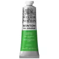Winsor & Newton Краска масляная художественная Winton, 37 мл, светло-зеленый перманентный