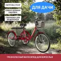 Трехколесный велосипед для взрослых РВЗ Чемпион, 24, красный